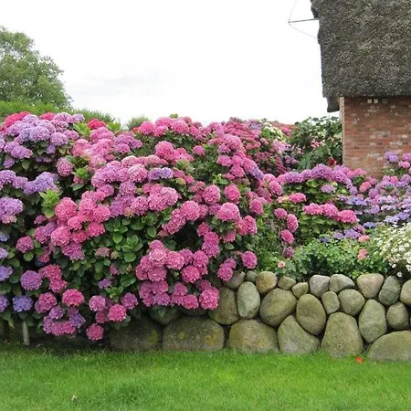 Voigt No 2 Comfortable Σπίτι διακοπών Βέστερλαντ